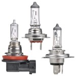 H16 / H18 / H19 Halogen Globes